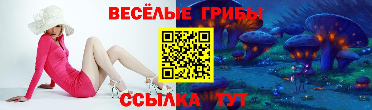Галлюциногенные грибы ЛСД Гусиноозёрск